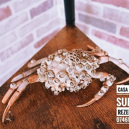 Casa De Vacanta Rodica Sulina Ngoại thất bức ảnh