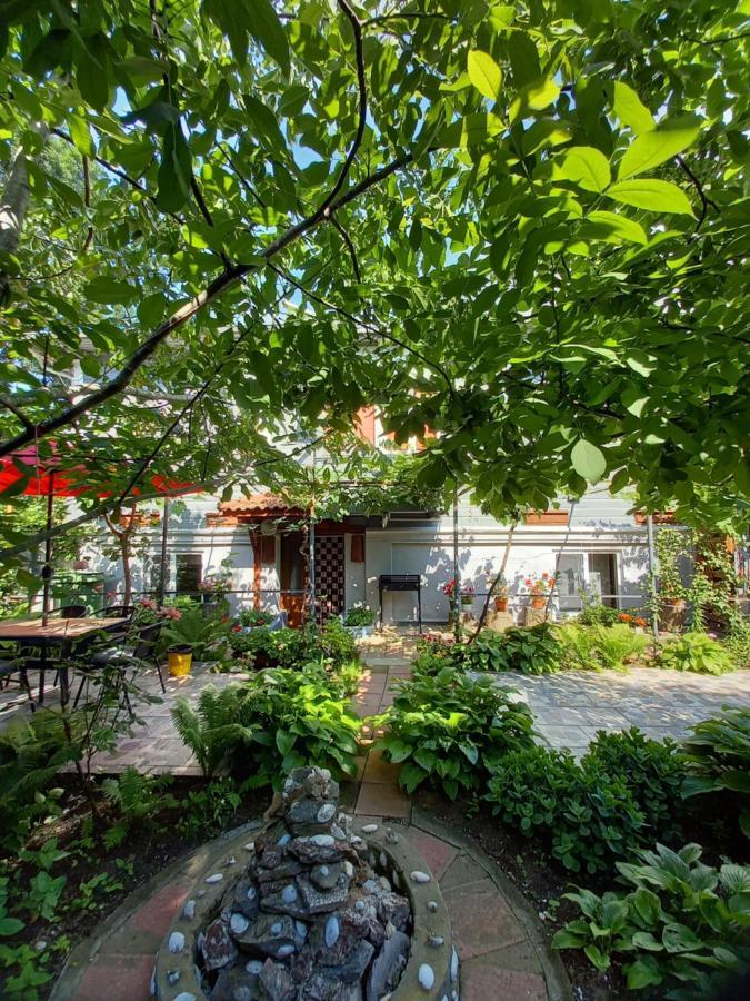 Casa De Vacanta Rodica Sulina Ngoại thất bức ảnh