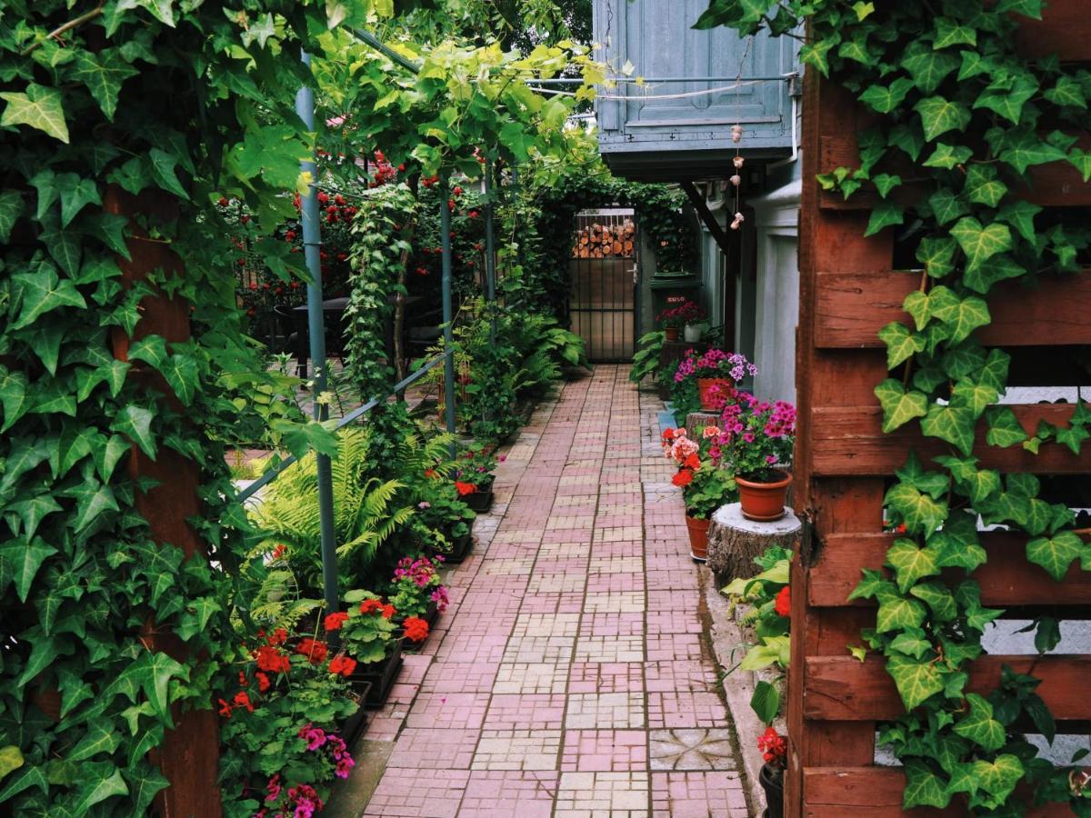 Casa De Vacanta Rodica Sulina Ngoại thất bức ảnh