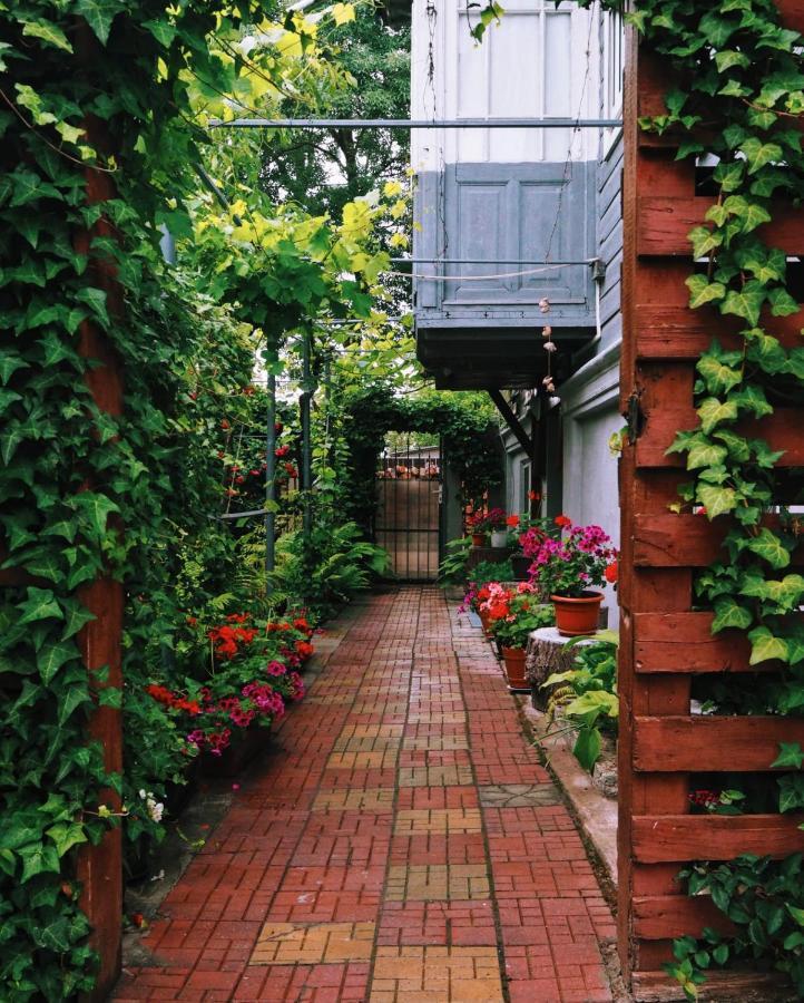 Casa De Vacanta Rodica Sulina Ngoại thất bức ảnh