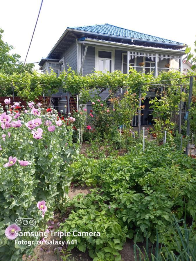 Casa De Vacanta Rodica Sulina Ngoại thất bức ảnh